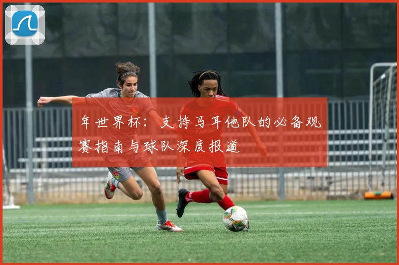 年世界杯:支持马耳他队的必备观赛指南与球队深度报道