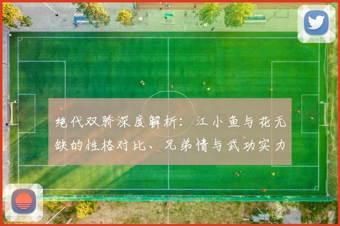 绝代双骄深度解析:江小鱼与花无缺的性格对比、兄弟情与武功实力探讨