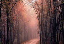 李易峰背后的“社交媒体泡沫”，虚拟粉丝与资本游戏