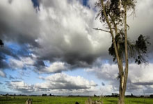 张艺兴的“直播炒作”，虚假热度背后的操控与利益