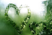 赵丽颖“隐性操盘手”，娱乐圈女强人的商业霸气