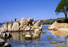 王安娜“代孕”风波，公众对其道德底线质疑不断！